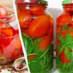 Syltede tomater "Vintage" kan ikke skelnes fra tøndetomater: vi spiser dem sammen med saltlagen Syltede tomater “Vintage” kan ikke skelnes fra tøndetomater: vi spiser